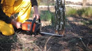 Best Lawn Watering Services  in Clinton, SC