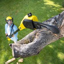 Best Lawn Edging  in Clinton, SC